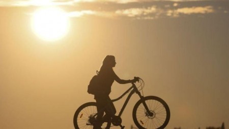 غذاء الشمس..فيتامين د في مواجهة كورونا؟