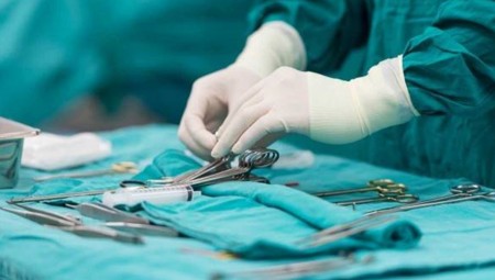 دراسة: إخصاء الذكور قد يطيل أعمارهم أكثر