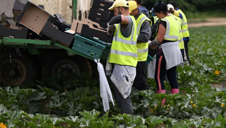 بسبب تكاليف المعيشة.. ازدياد التشرد في ريف إنجلترا 40 في المئة خلال 5 سنوات