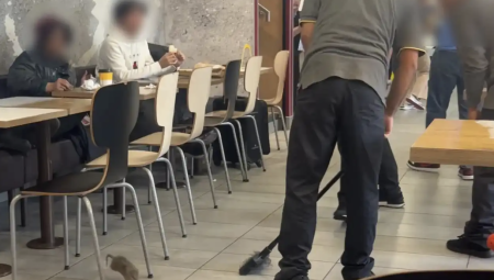 بريطانيا: موظفو ماكدونالدز يلاحقون جرذاً ويضربوه بالمقشة حتى الموت أمام الزبائن