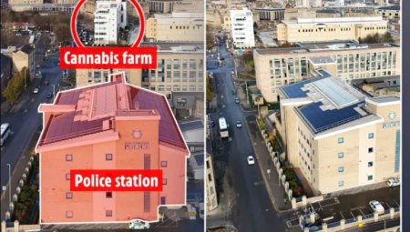 بريطانيا: القبض على عصابة أنشأت مزرعة حشيش بـ 9 مليون إسترليني بالقرب من مقر للشرطة