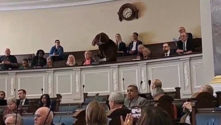 رجل يتنكر في زي جرذ خلال اجتماع مجلس المدينة احتجاجاً على أزمة النفايات في برمنغهام