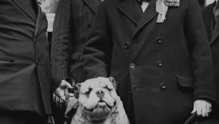 مطالب باستبعاد البولدوج من الأوراق النقدية الجديدة في بريطانيا