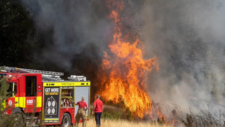 لندن تواجه صيفًا استثنائيًا بحرائق الغابات