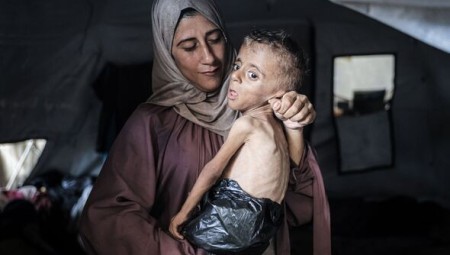 لامي يندد بمأساة غزة ويؤكد أن الصمت لم يعد خيارًا أمام الجوع والقتل