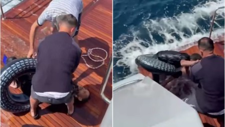 مهاجر ينجو بأعجوبة بعد عبوره البحر من المغرب إلى إسبانيا بعوامة وزعانف