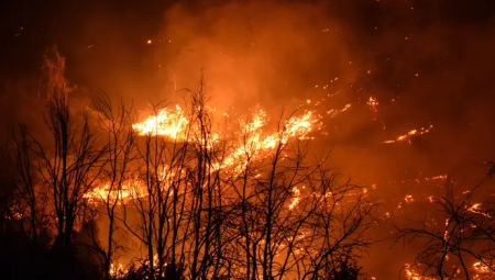 حرائق مدمّرة تجتاح جنوب أوروبا وتؤدي إلى مقتل 14 شخصًا على الأقل