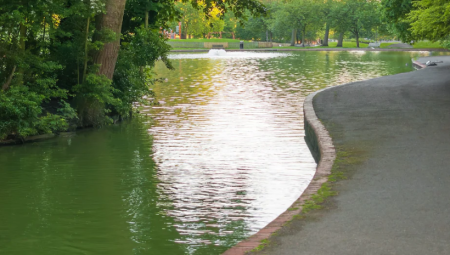 جدل واسع في بريستول بعد فرض رسوم 450 جنيهًا على اليوغا وتمارين الكلاب في الحدائق