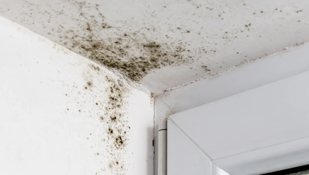 عفن وتسرب مياه يُغلقان جزئياً جناح زراعة نخاع العظم في مستشفى كوين إليزابيث بغلاسكو