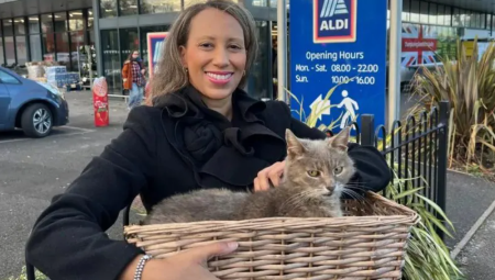 سبعة ضباط يصلون سوبر ماركت للتعامل مع قطة أليفة أطلقت إنذار السرقة